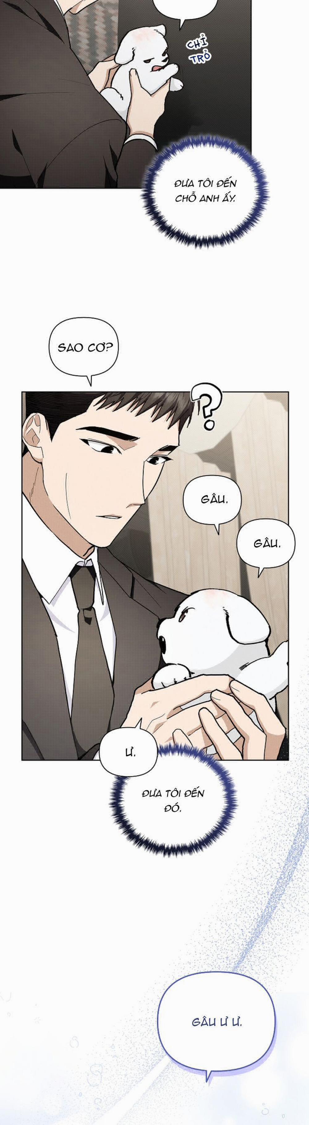 Đừng Chạm Vào Cún Con 11 trang 11