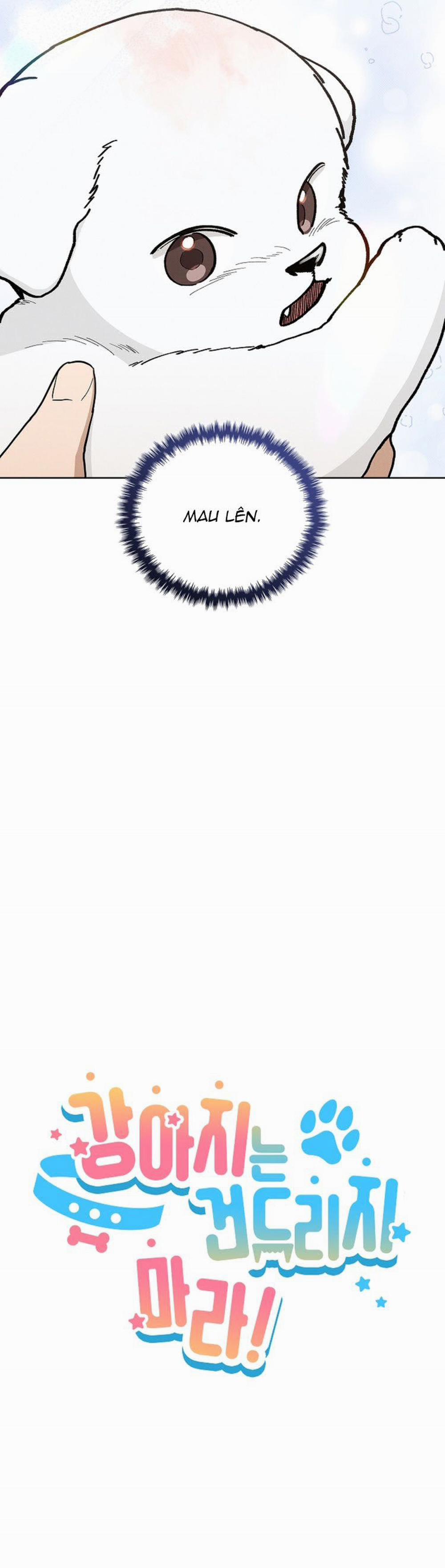 Đừng Chạm Vào Cún Con 11 trang 12