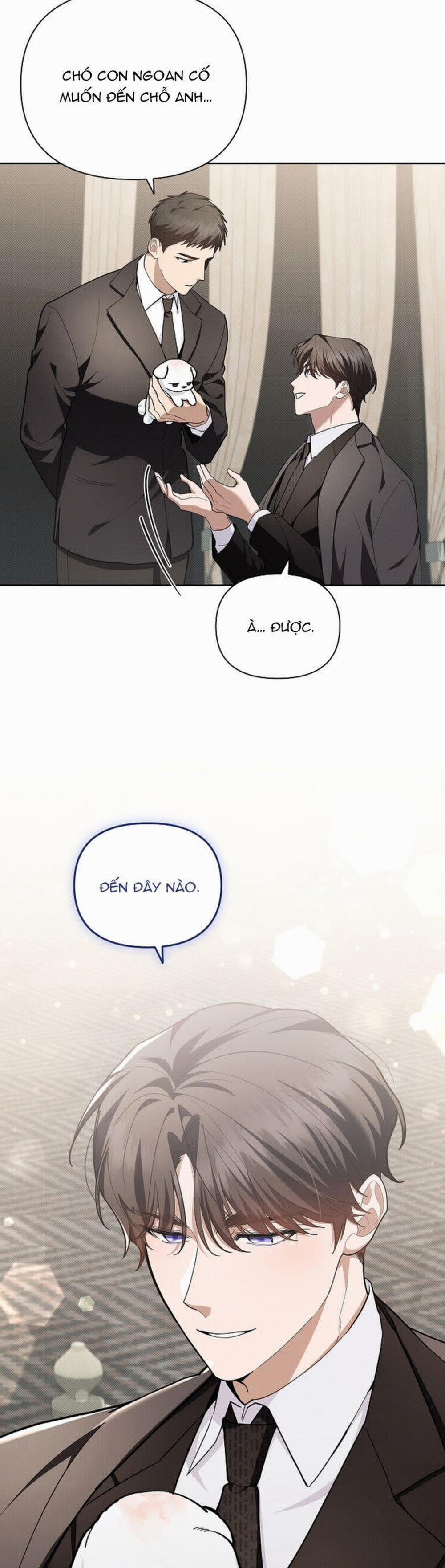 Đừng Chạm Vào Cún Con 11 trang 14