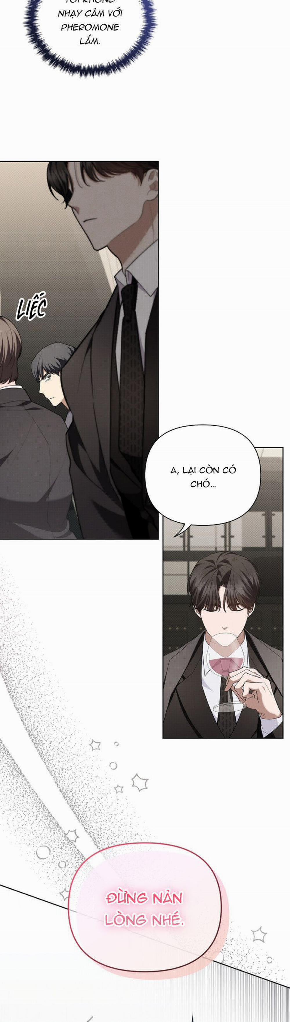 Đừng Chạm Vào Cún Con 11 trang 16