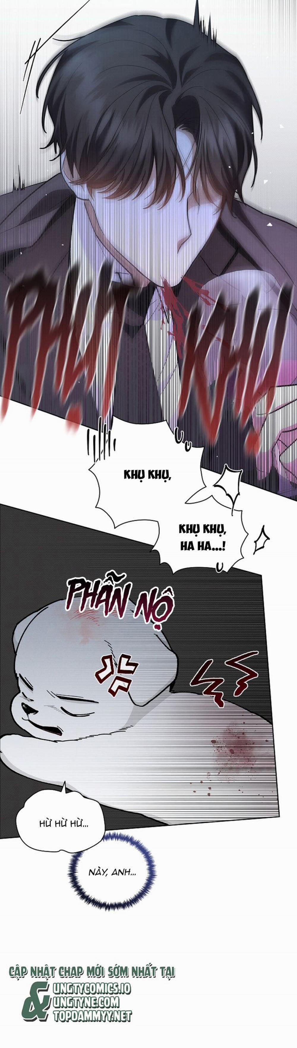 Đừng Chạm Vào Cún Con 11 trang 17