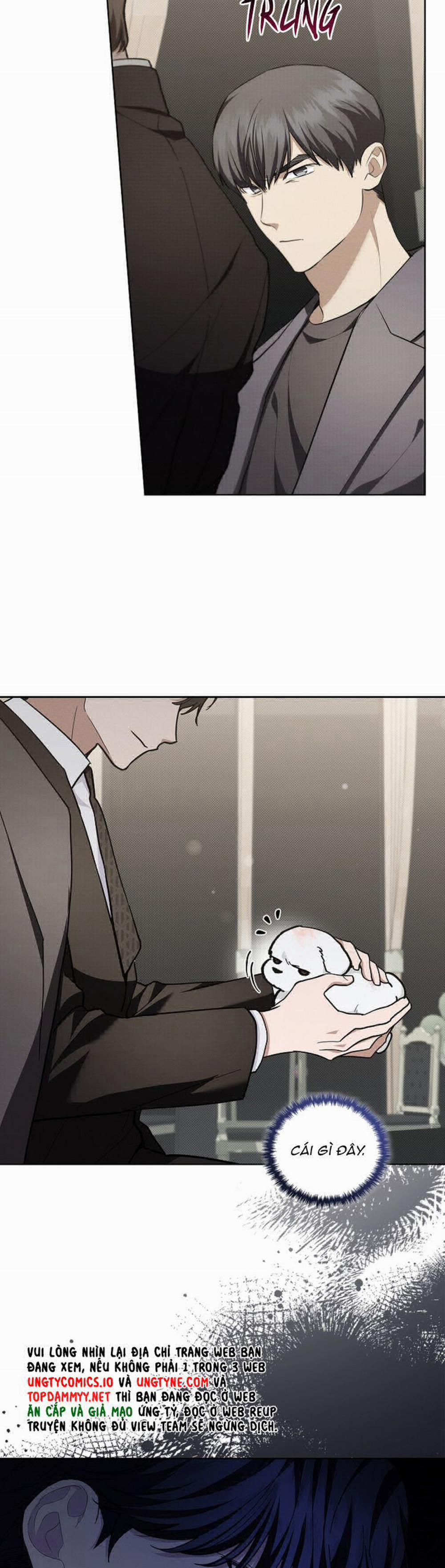 Đừng Chạm Vào Cún Con 11 trang 19