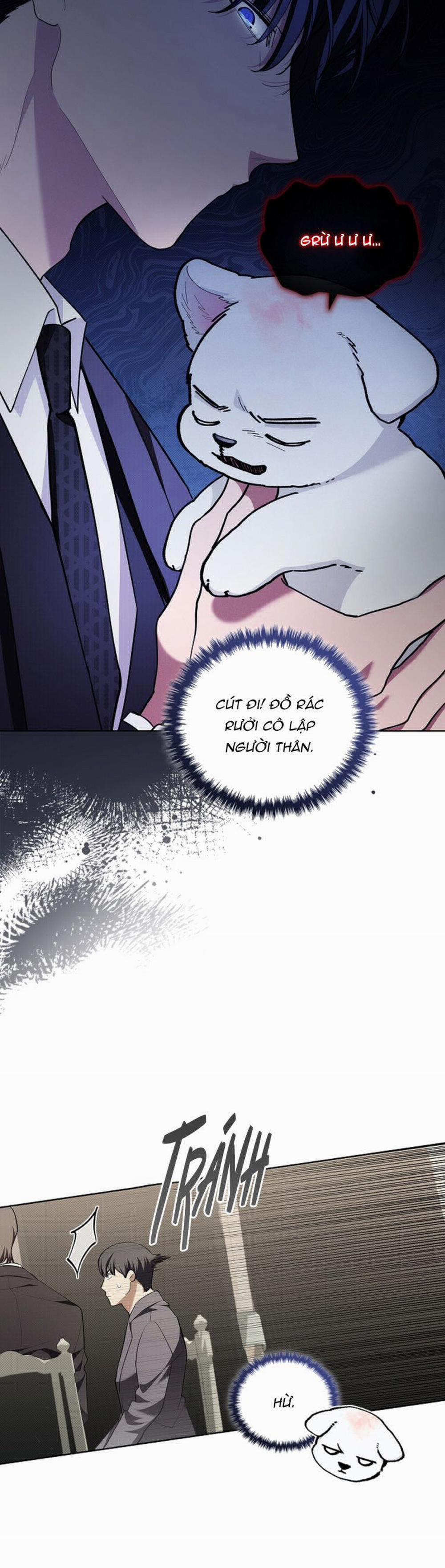 Đừng Chạm Vào Cún Con 11 trang 20