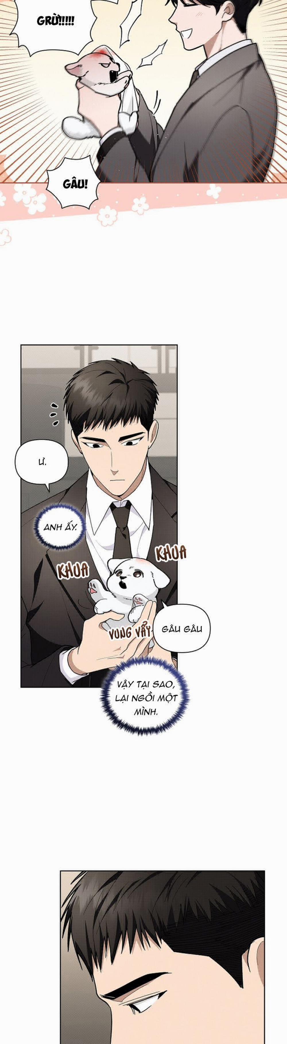 Đừng Chạm Vào Cún Con 11 trang 3