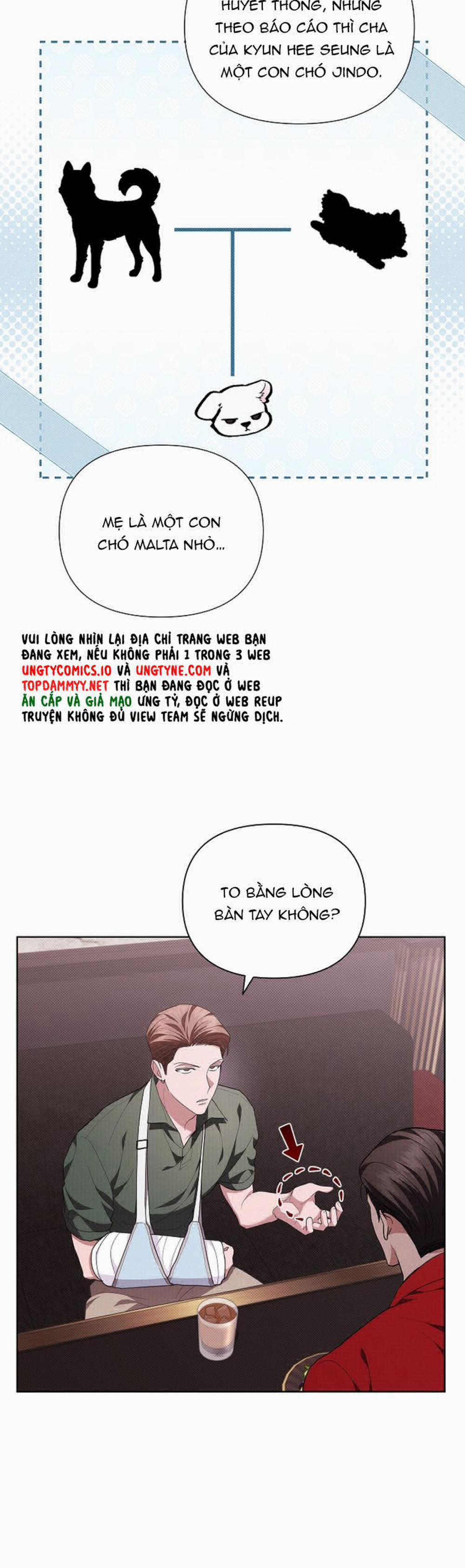 Đừng Chạm Vào Cún Con 11 trang 33