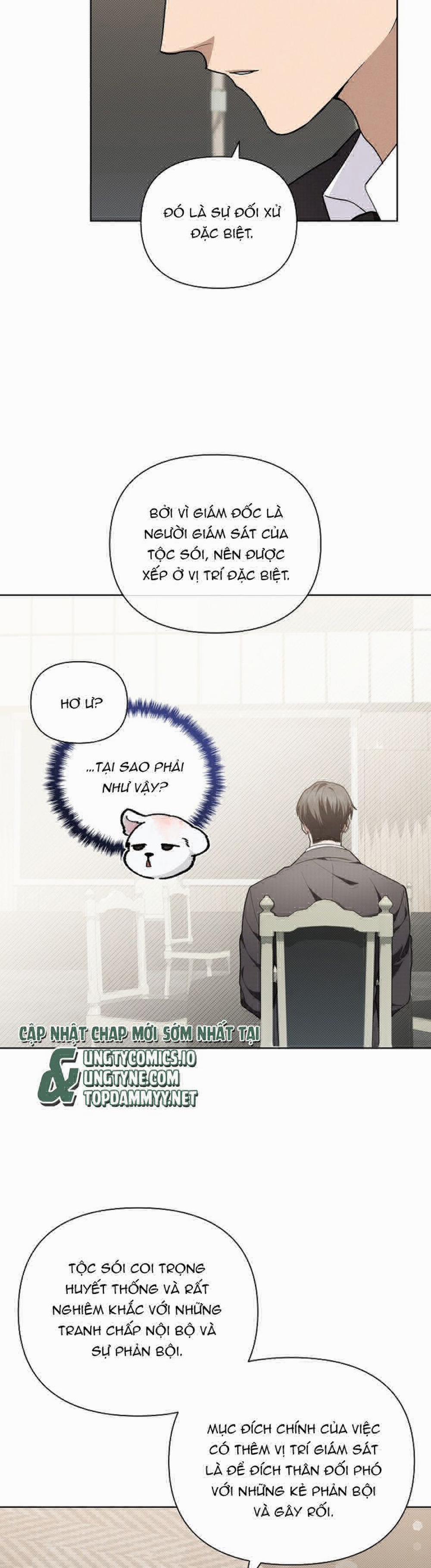 Đừng Chạm Vào Cún Con 11 trang 4