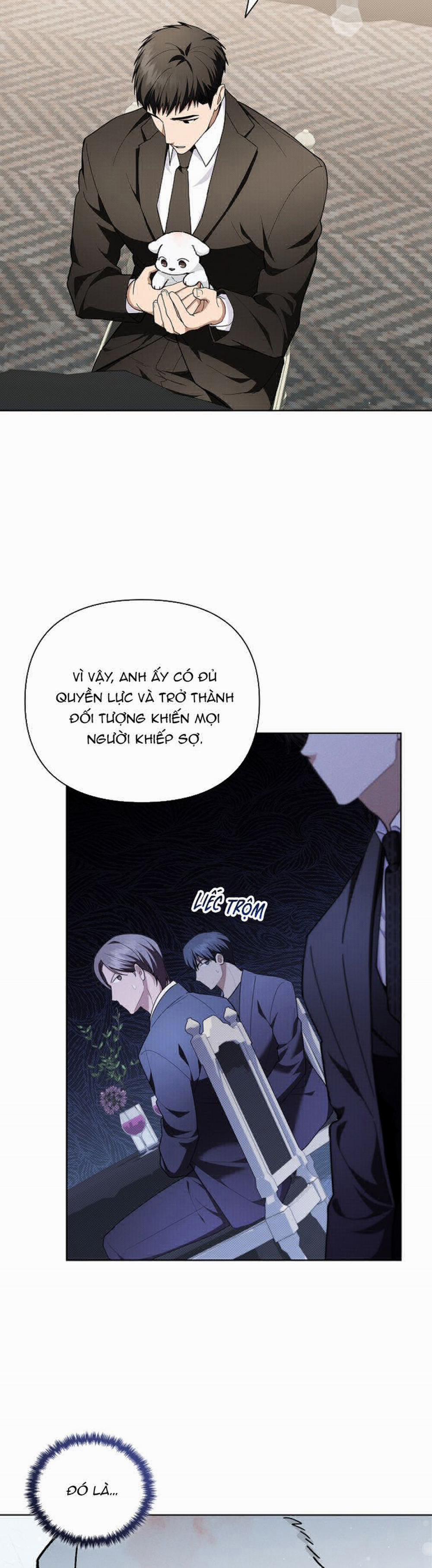 Đừng Chạm Vào Cún Con 11 trang 5