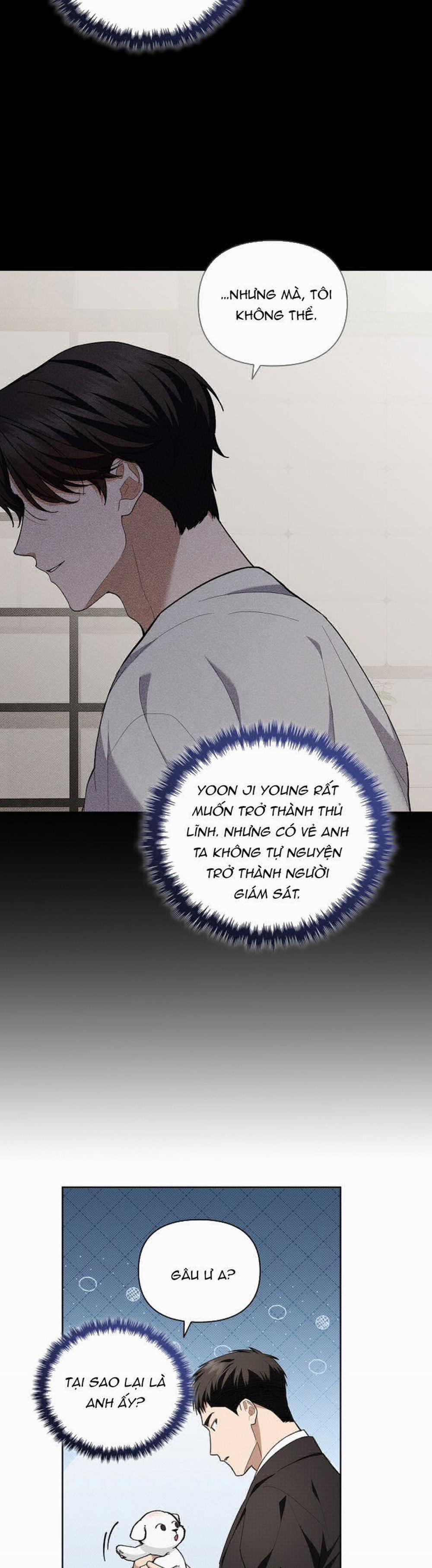 Đừng Chạm Vào Cún Con 11 trang 7