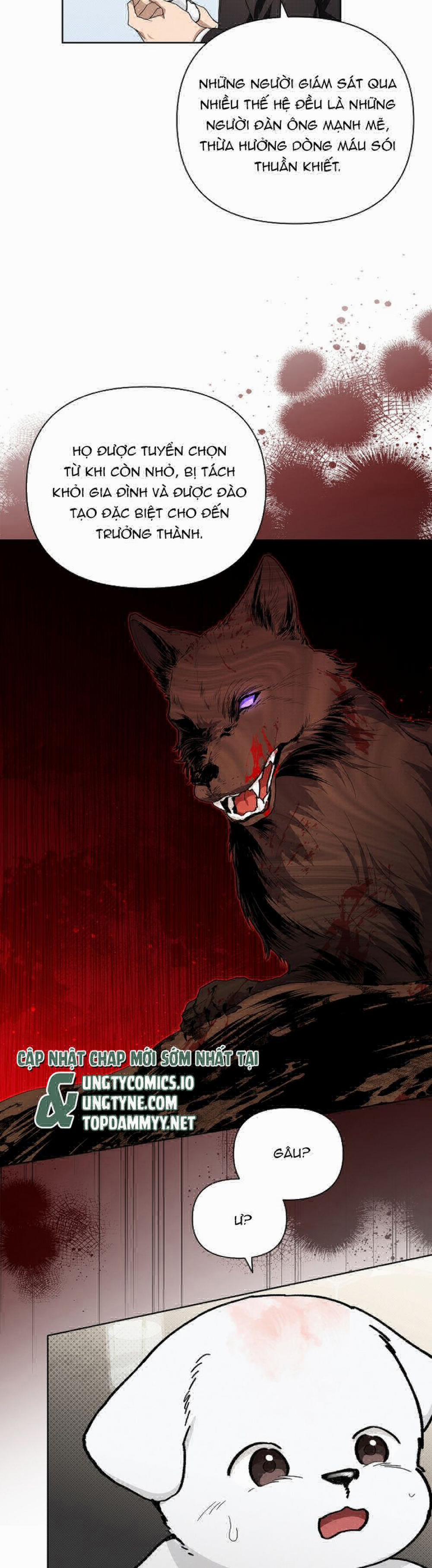 Đừng Chạm Vào Cún Con 11 trang 8