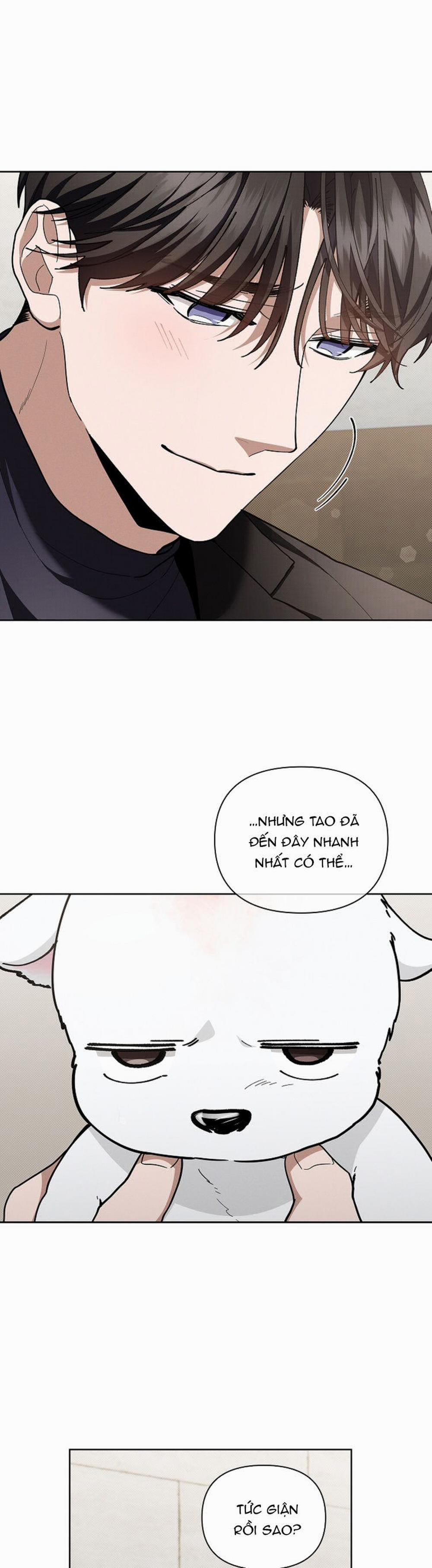 Đừng Chạm Vào Cún Con 12 trang 10