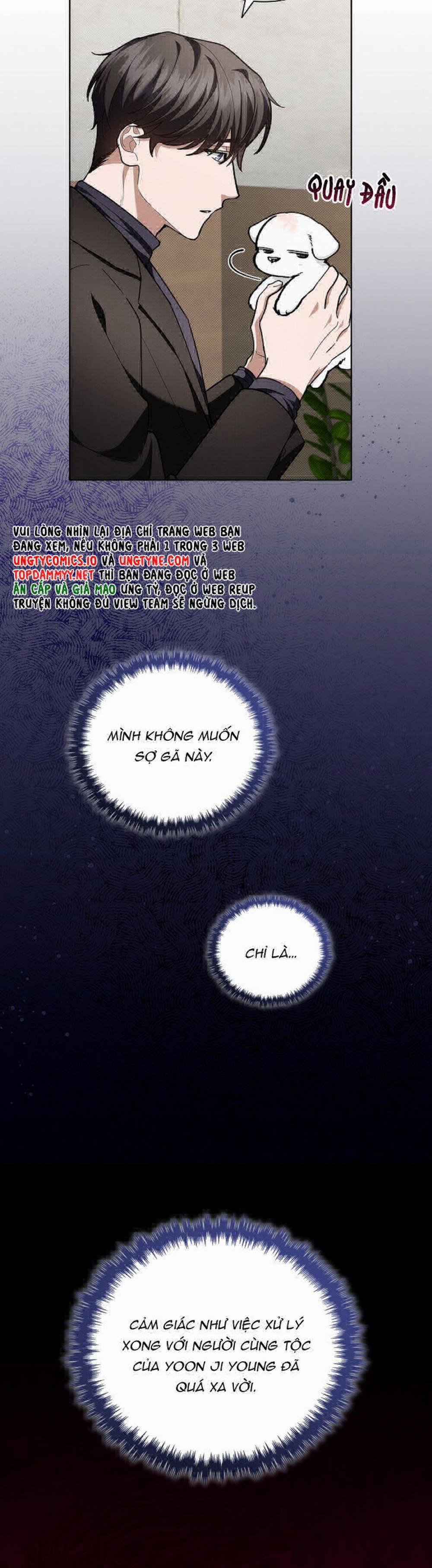 Đừng Chạm Vào Cún Con 12 trang 11