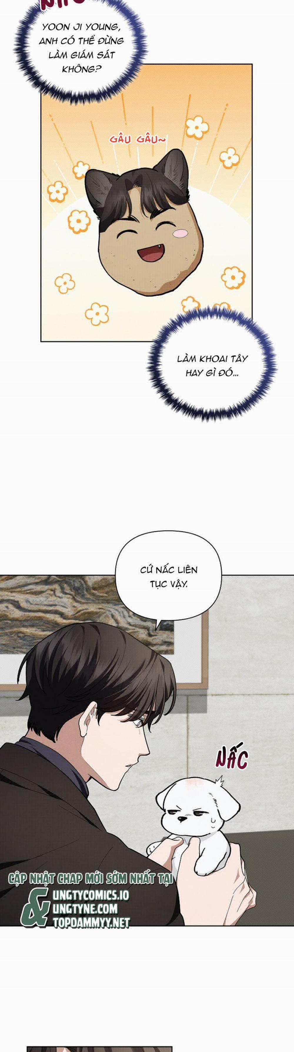 Đừng Chạm Vào Cún Con 12 trang 15