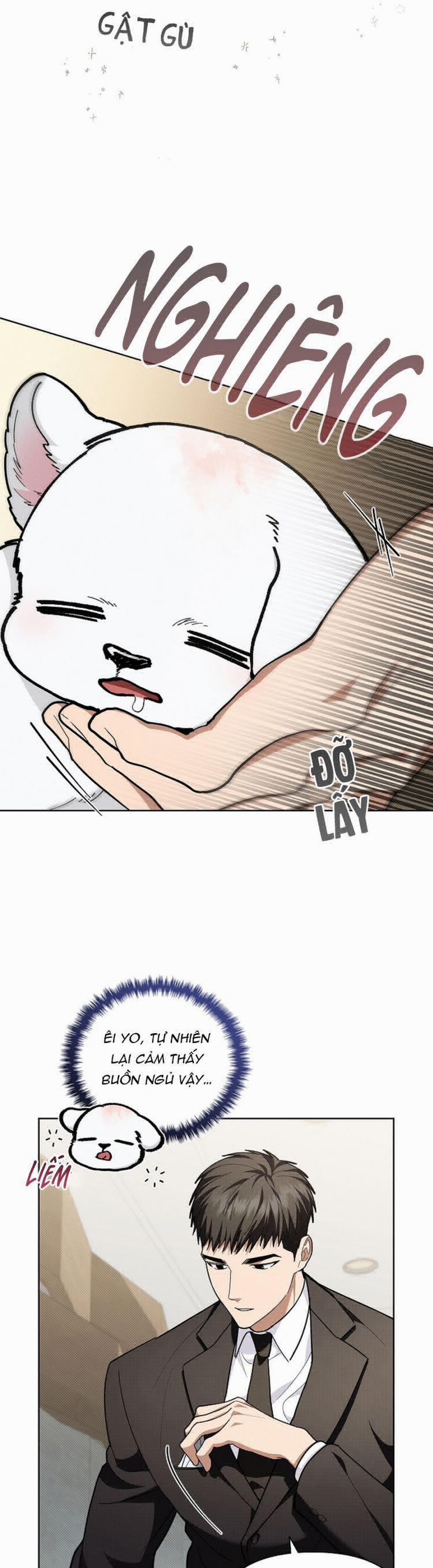 Đừng Chạm Vào Cún Con 12 trang 2