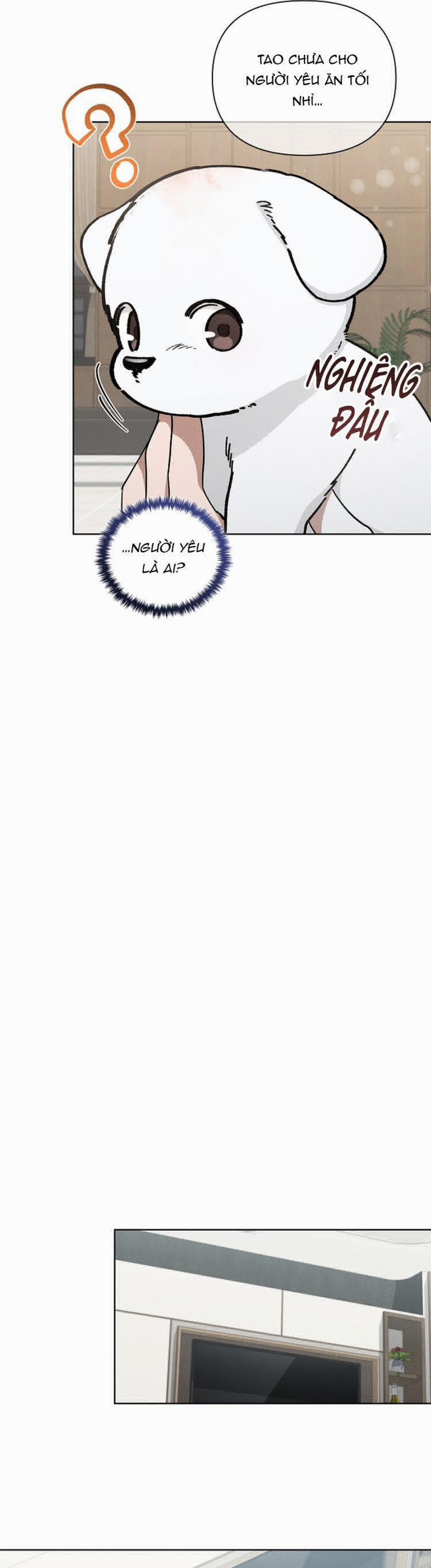 Đừng Chạm Vào Cún Con 12 trang 23