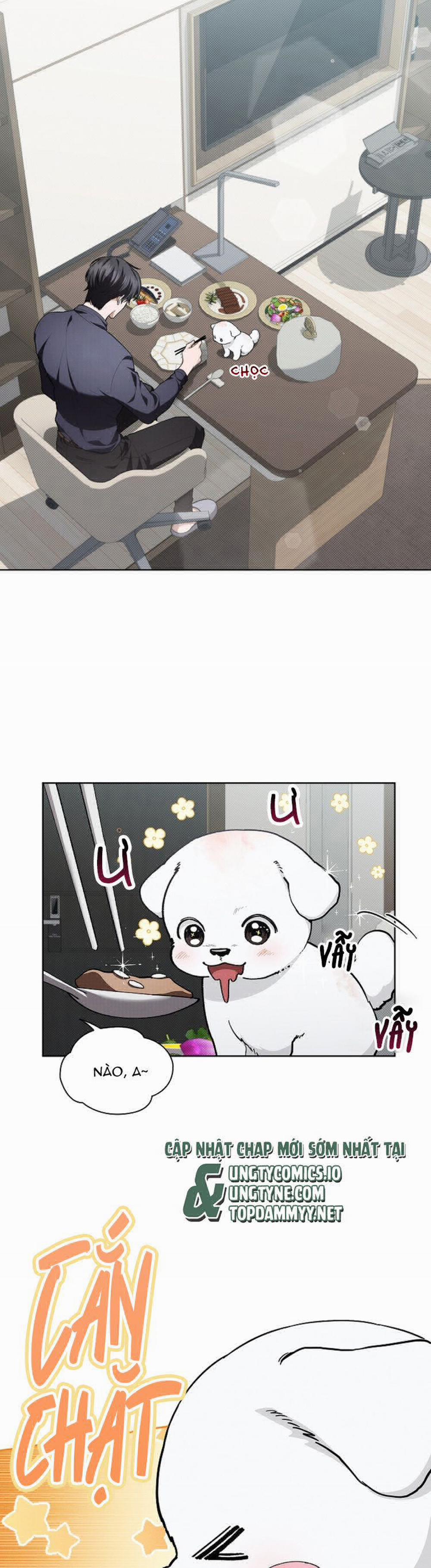 Đừng Chạm Vào Cún Con 12 trang 24