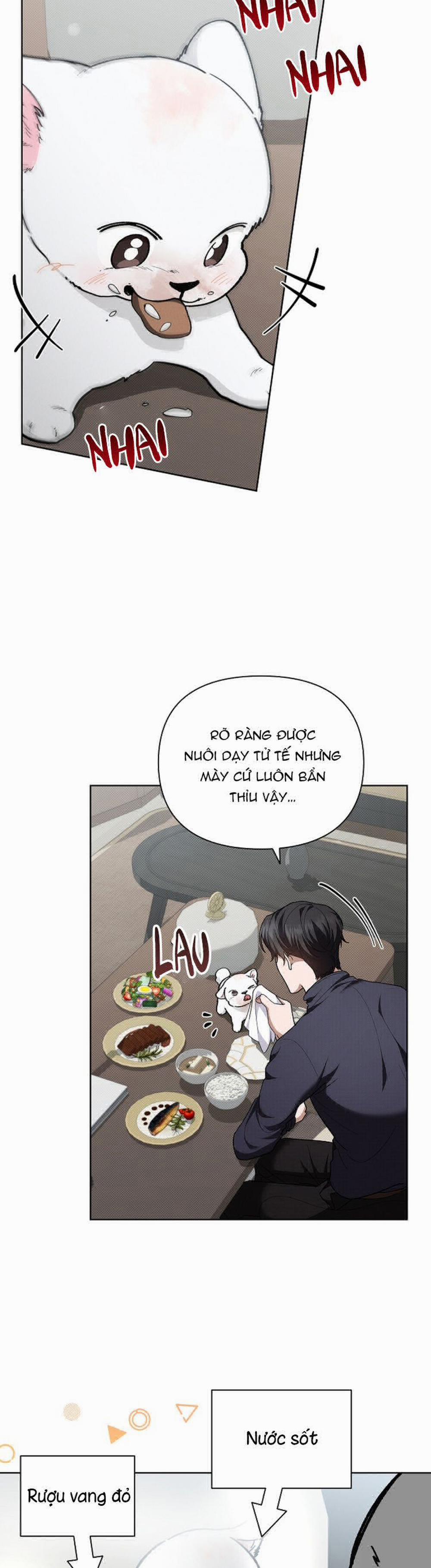 Đừng Chạm Vào Cún Con 12 trang 27