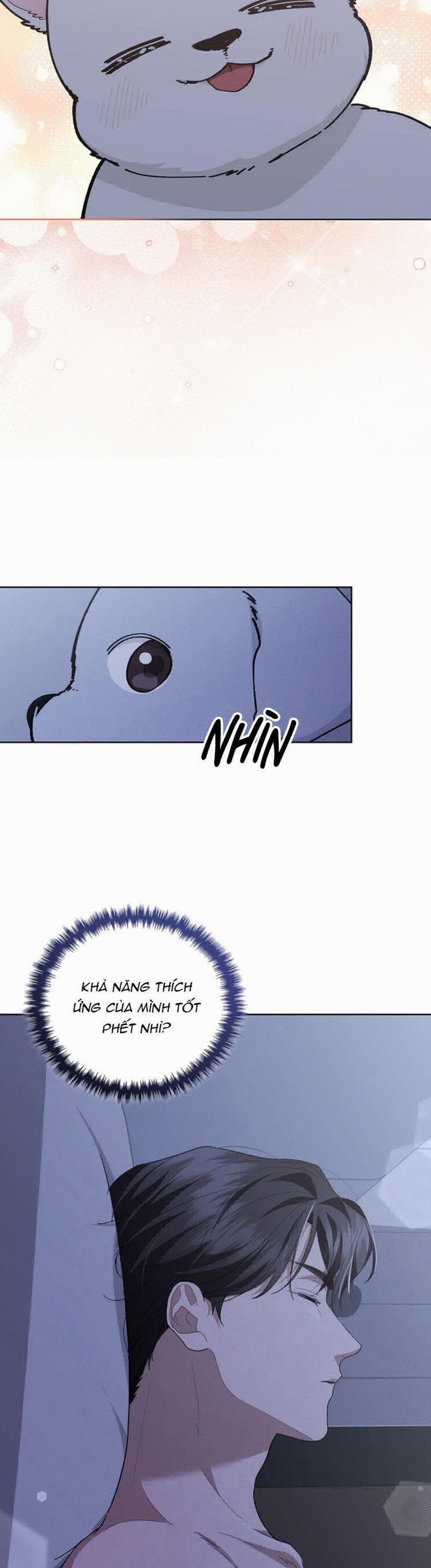 Đừng Chạm Vào Cún Con 12 trang 30