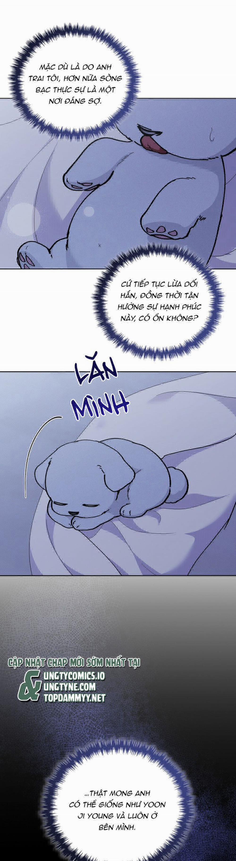 Đừng Chạm Vào Cún Con 12 trang 32