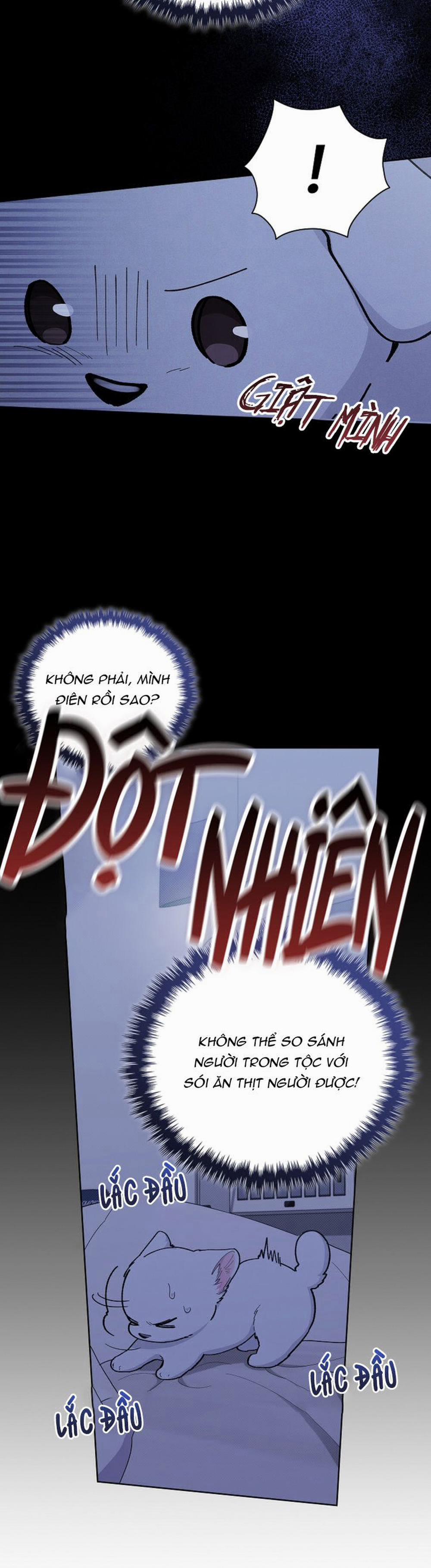 Đừng Chạm Vào Cún Con 12 trang 33