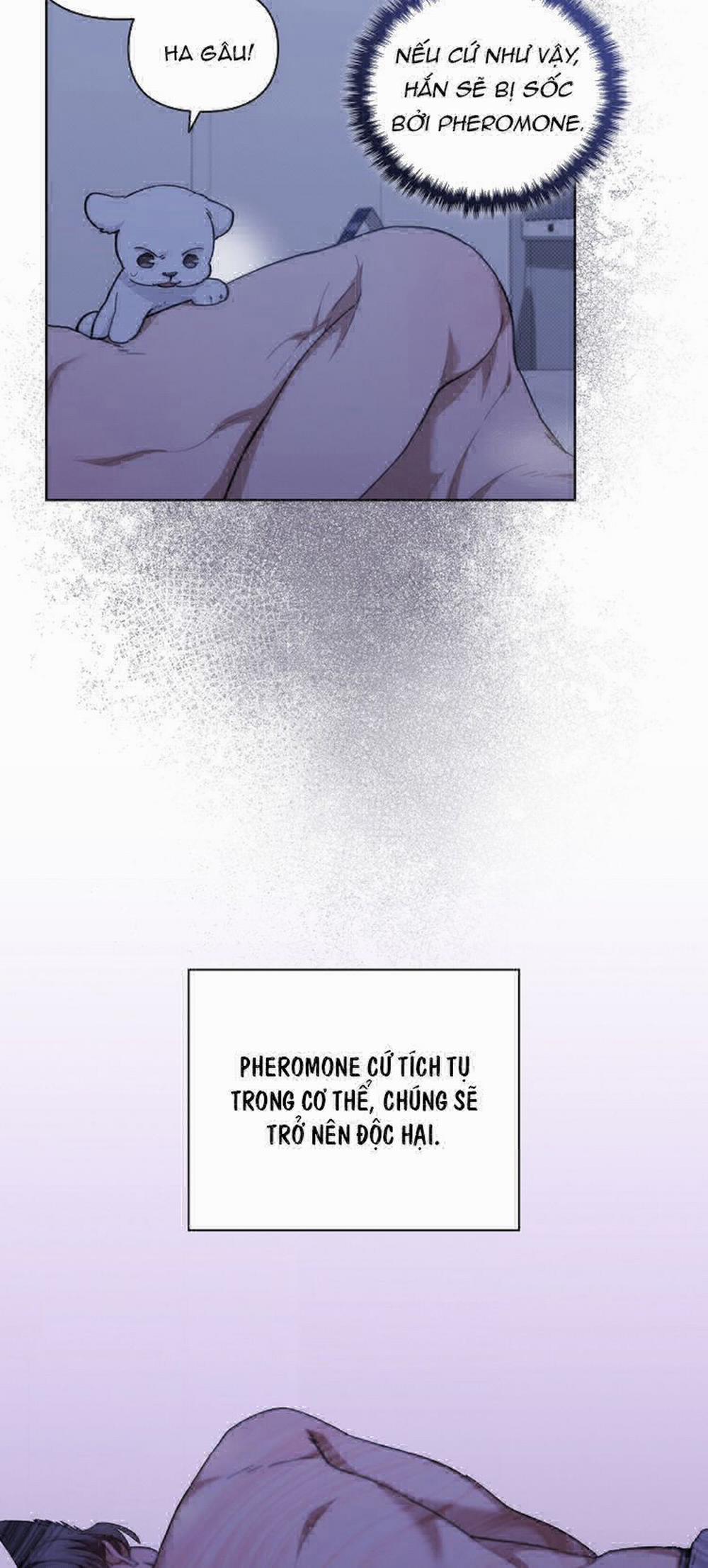 Đừng Chạm Vào Cún Con 12 trang 37