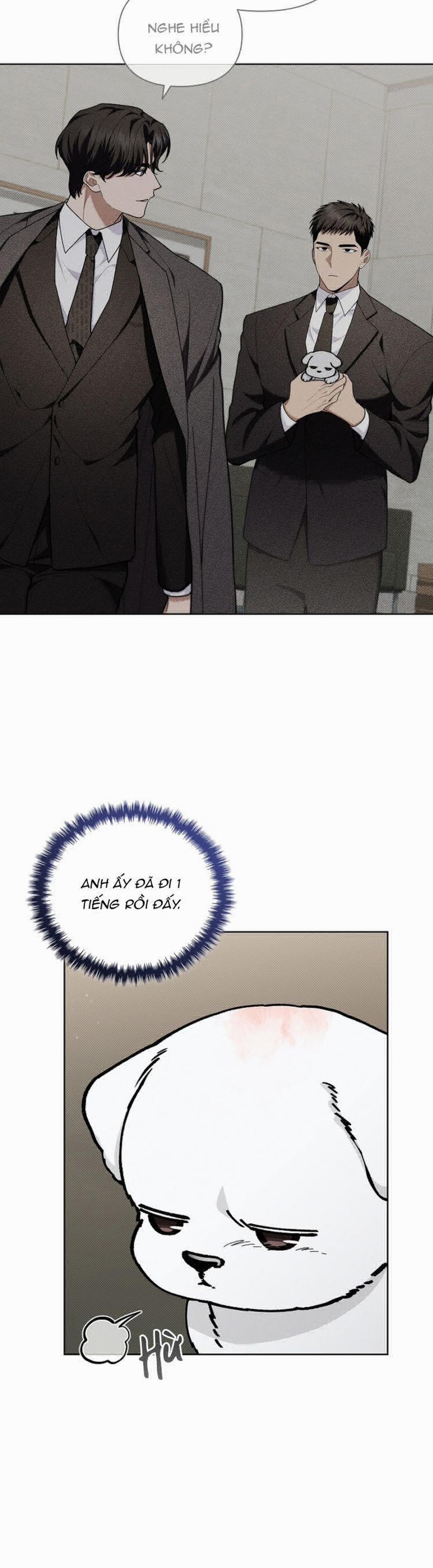 Đừng Chạm Vào Cún Con 12 trang 4