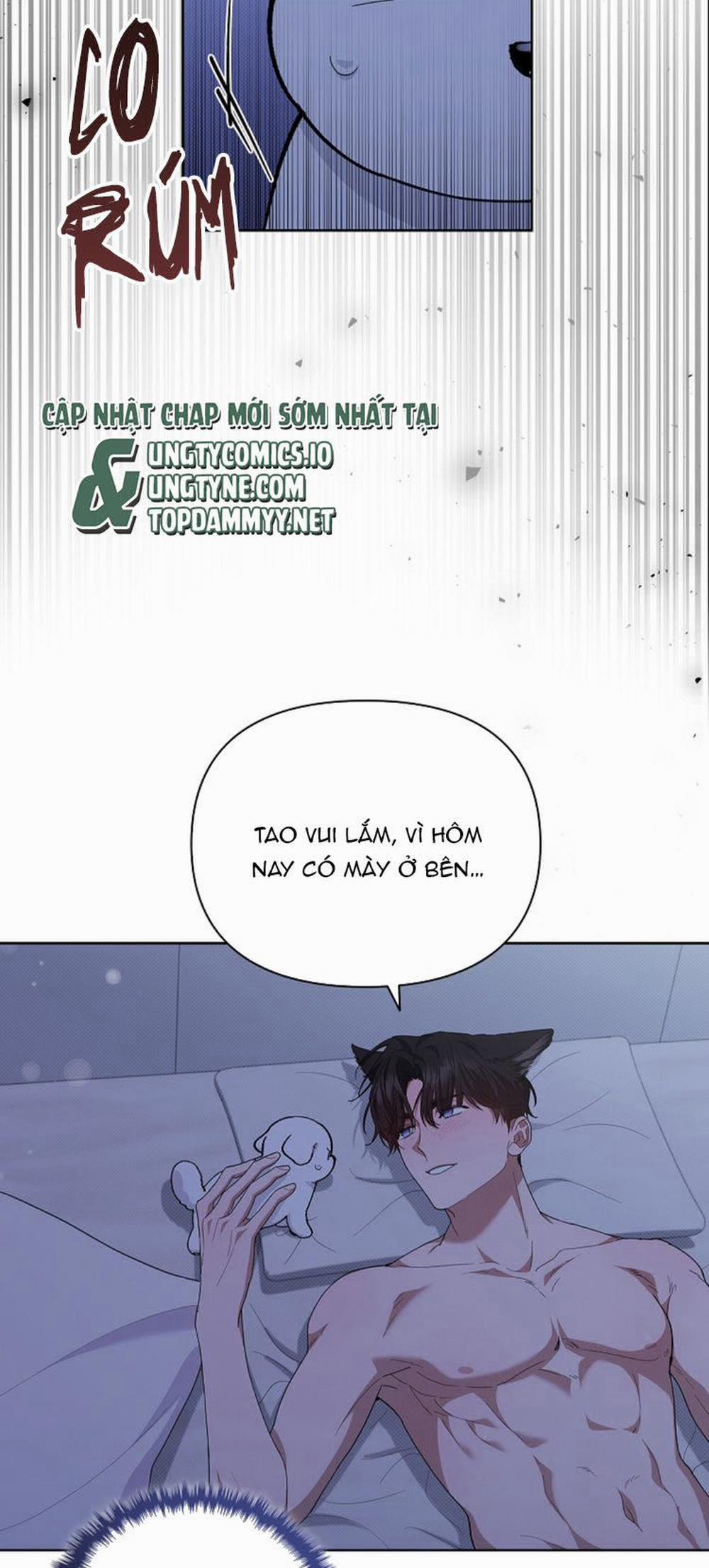 Đừng Chạm Vào Cún Con 12 trang 40