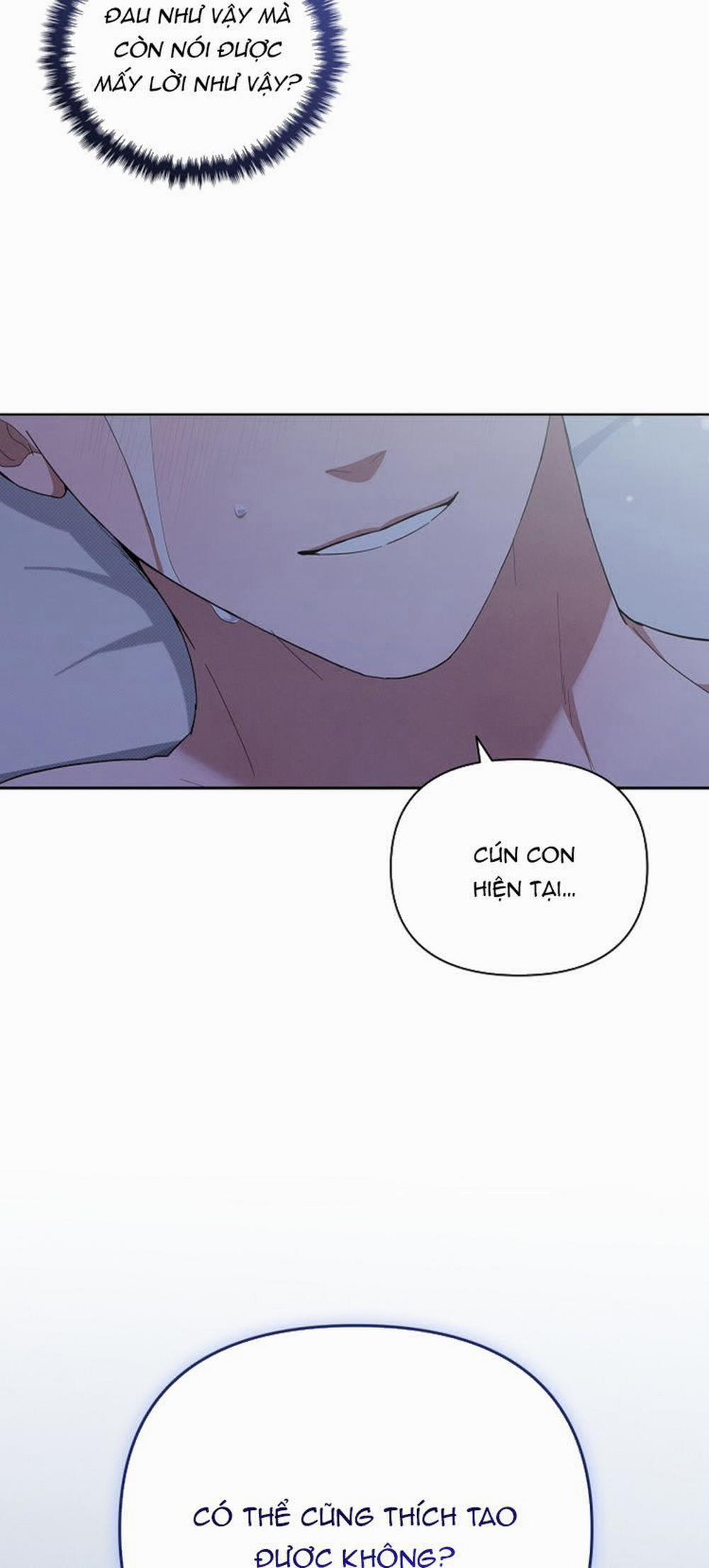 Đừng Chạm Vào Cún Con 12 trang 41