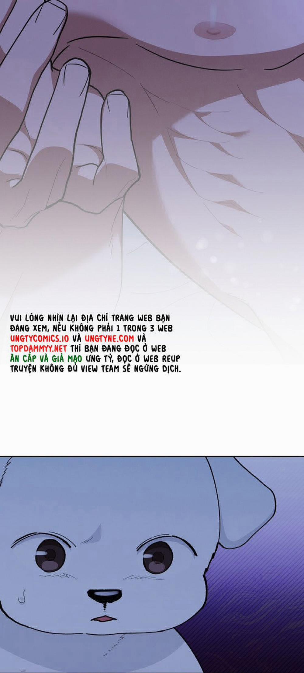 Đừng Chạm Vào Cún Con 12 trang 43