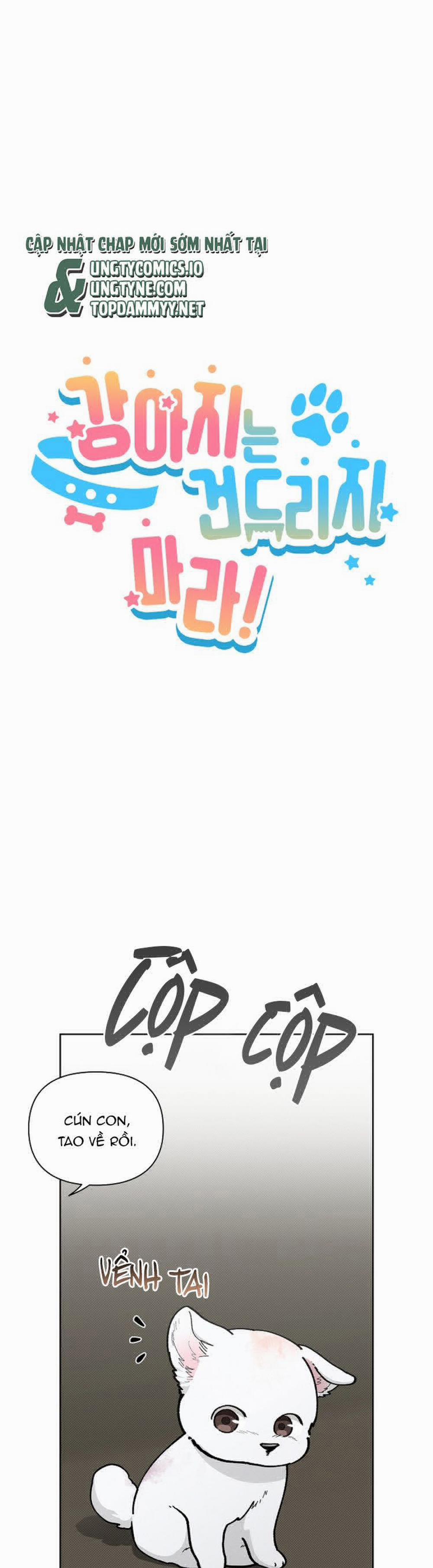 Đừng Chạm Vào Cún Con 12 trang 5