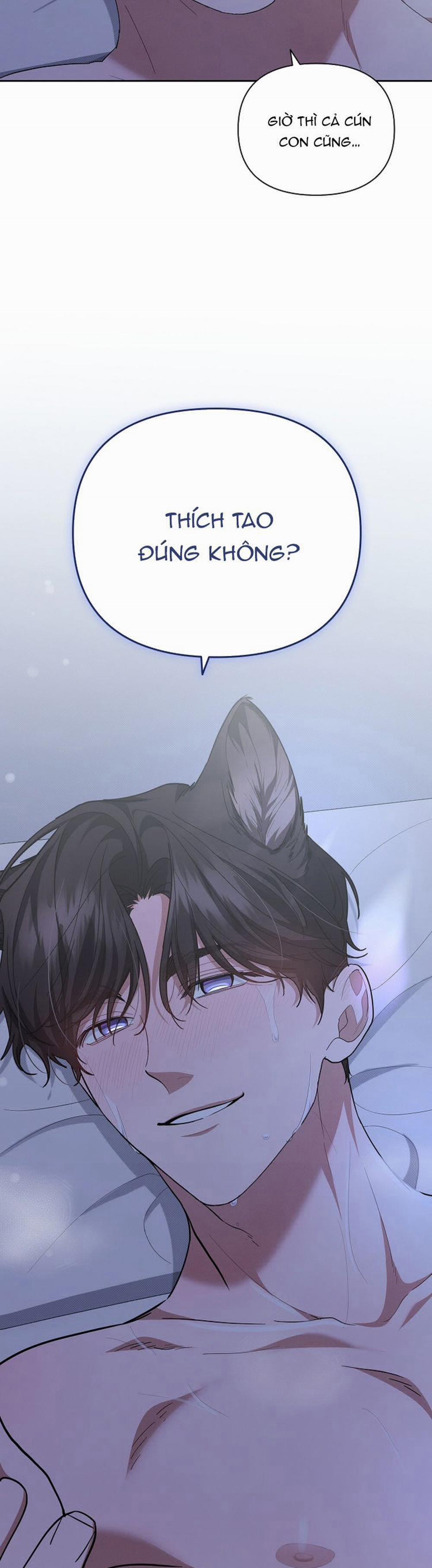 Đừng Chạm Vào Cún Con 13 trang 1