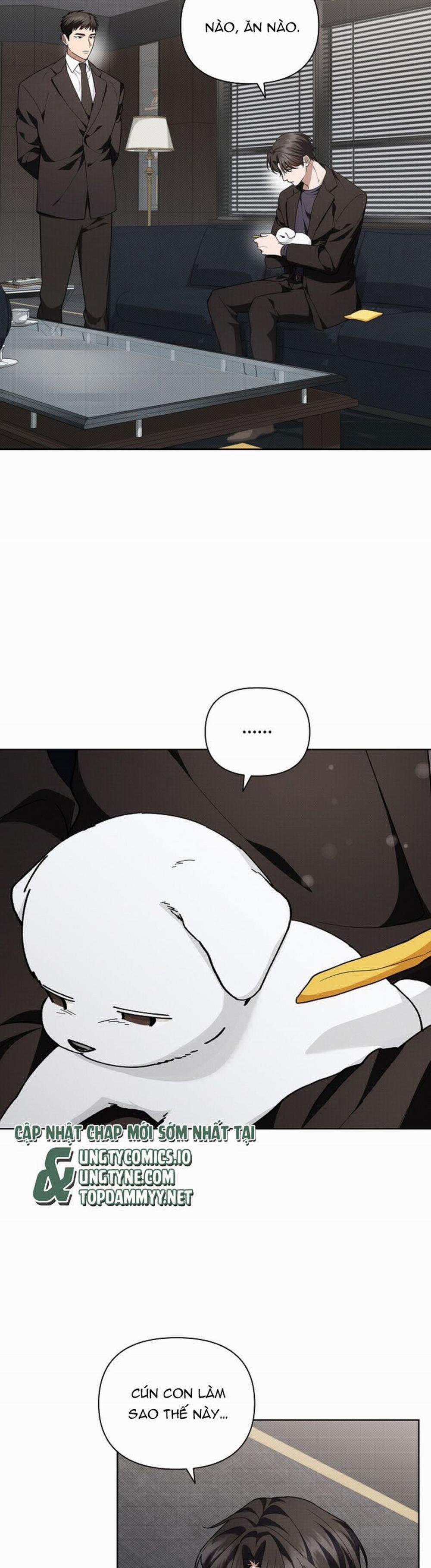 Đừng Chạm Vào Cún Con 13 trang 12