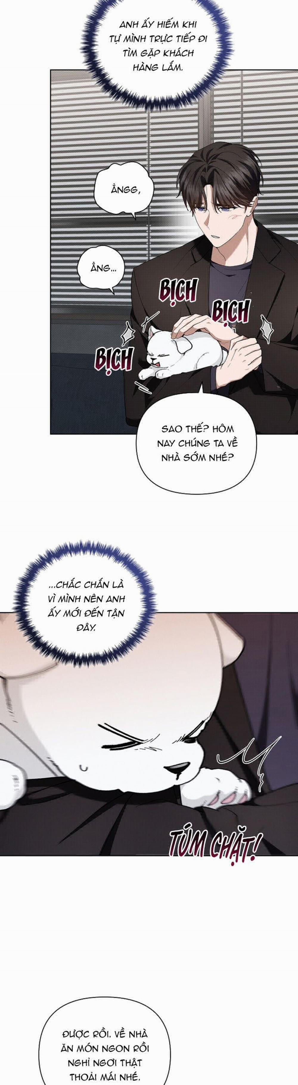 Đừng Chạm Vào Cún Con 13 trang 17