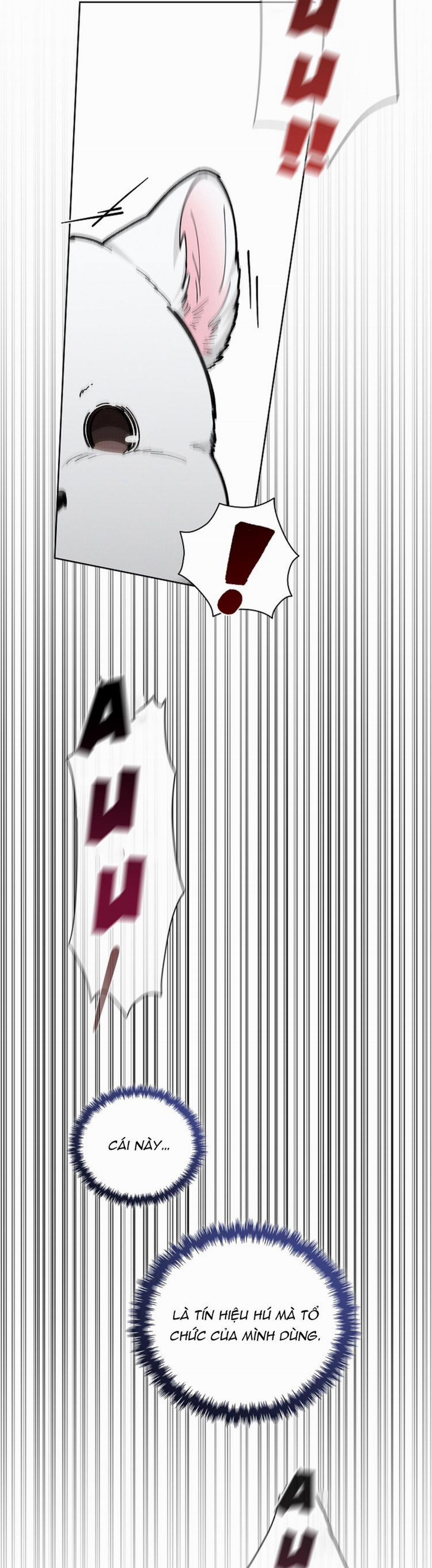 Đừng Chạm Vào Cún Con 13 trang 19