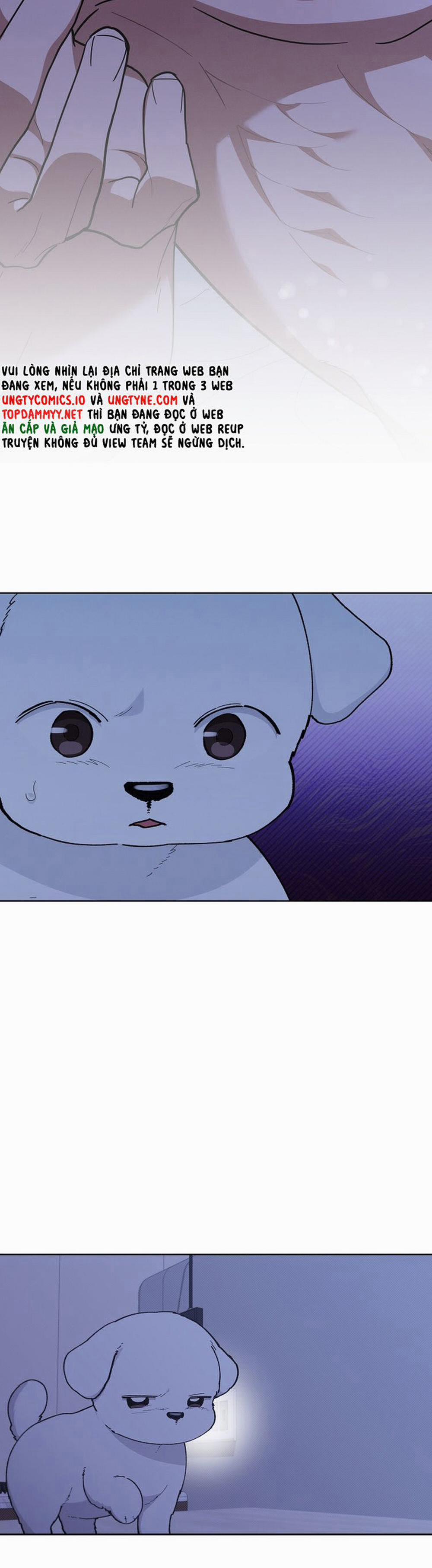 Đừng Chạm Vào Cún Con 13 trang 2