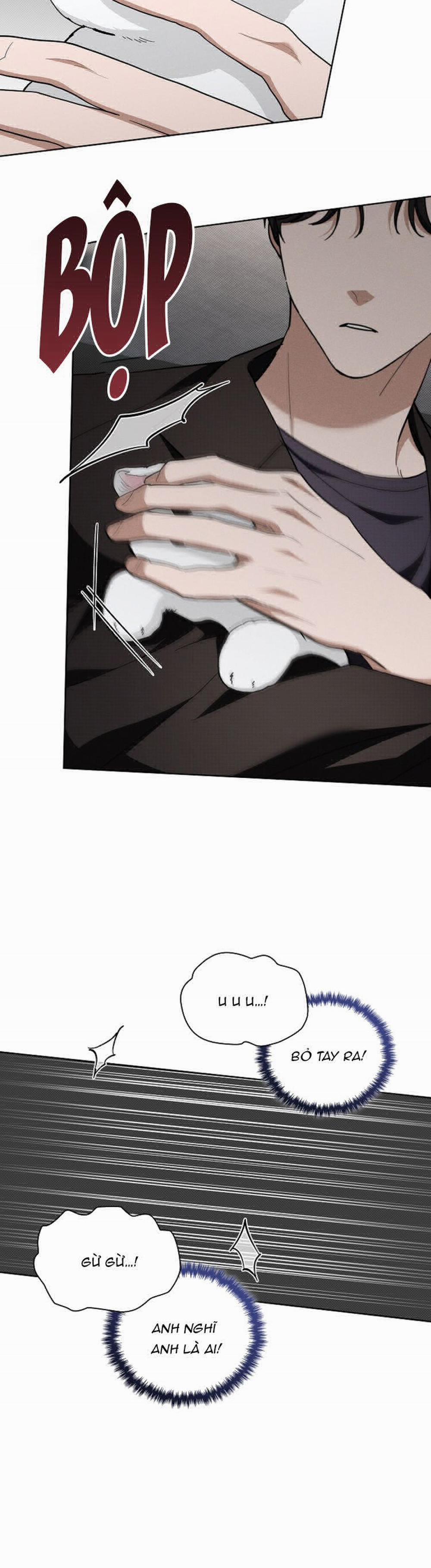 Đừng Chạm Vào Cún Con 13 trang 21