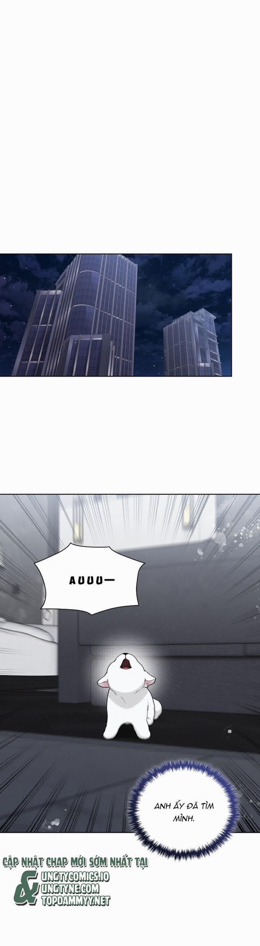 Đừng Chạm Vào Cún Con 13 trang 25