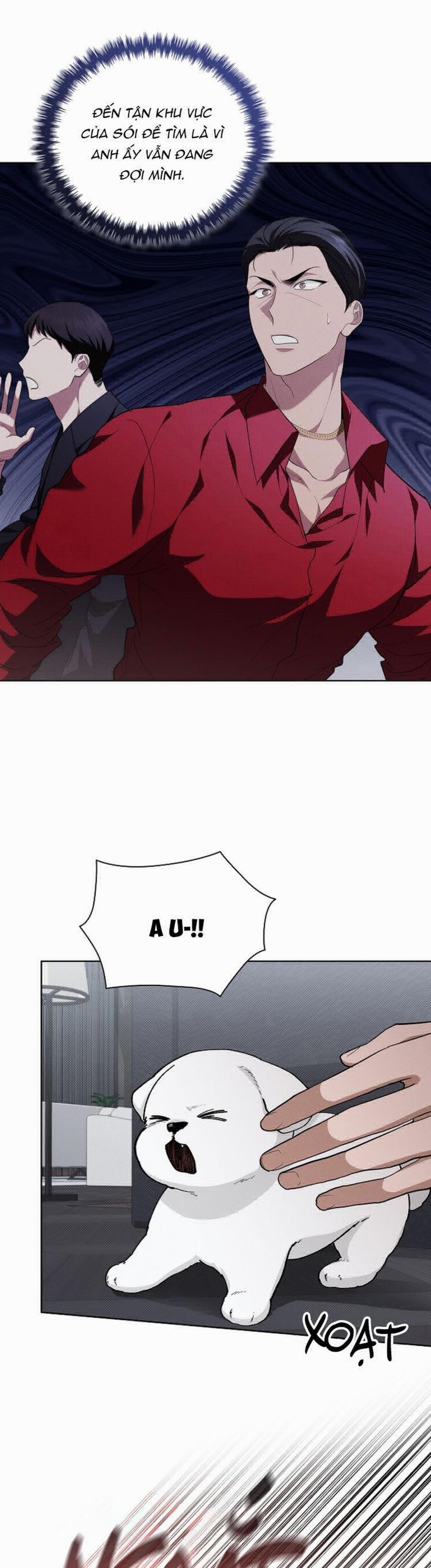 Đừng Chạm Vào Cún Con 13 trang 26