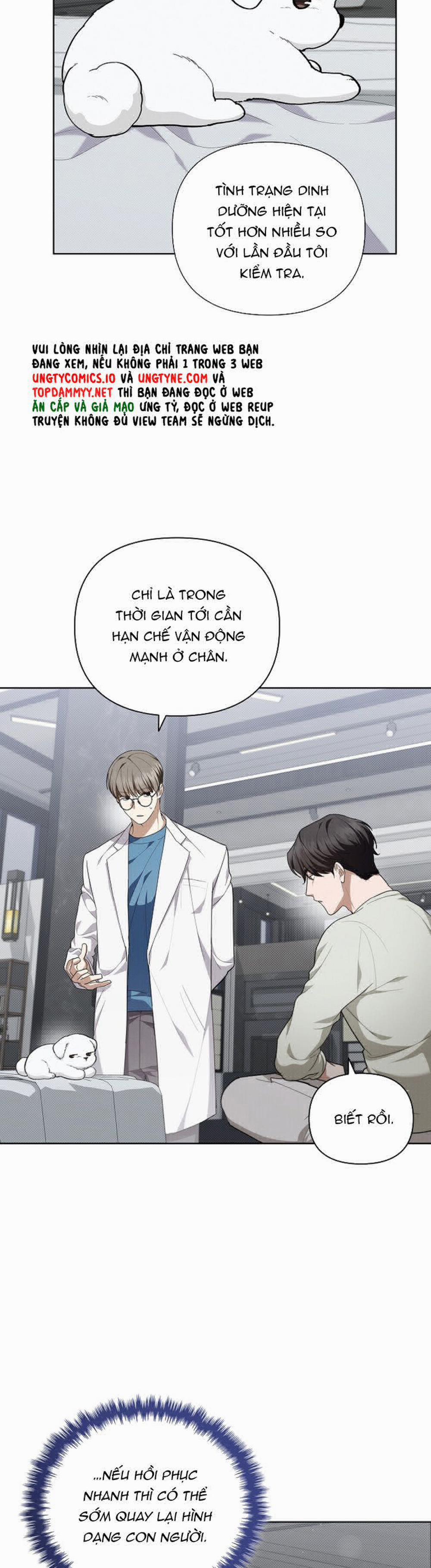 Đừng Chạm Vào Cún Con 13 trang 28