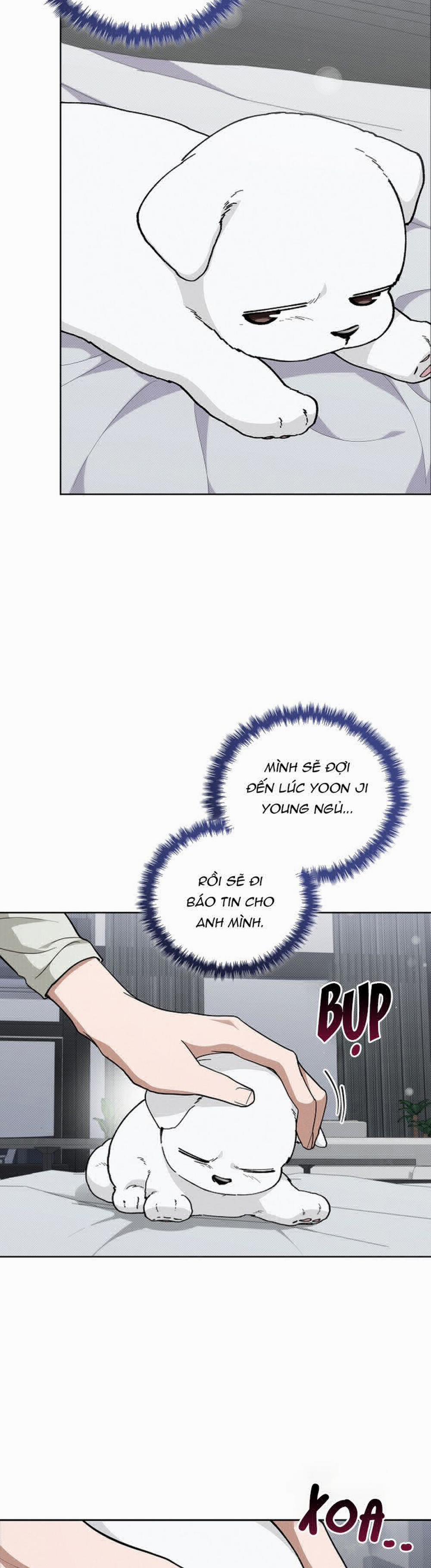 Đừng Chạm Vào Cún Con 13 trang 29