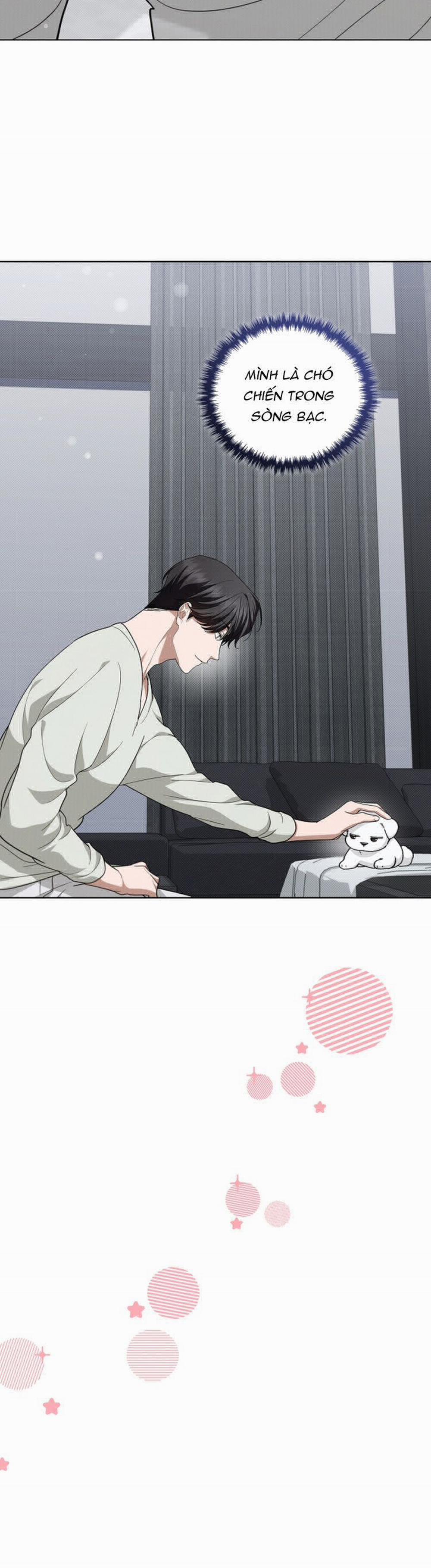 Đừng Chạm Vào Cún Con 13 trang 31