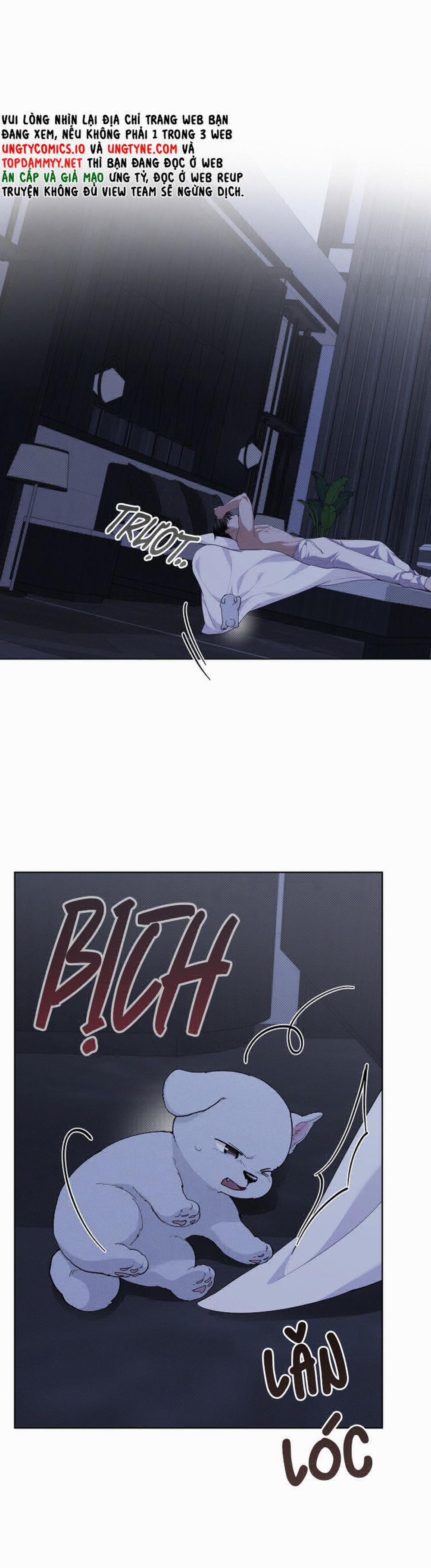 Đừng Chạm Vào Cún Con 13 trang 32