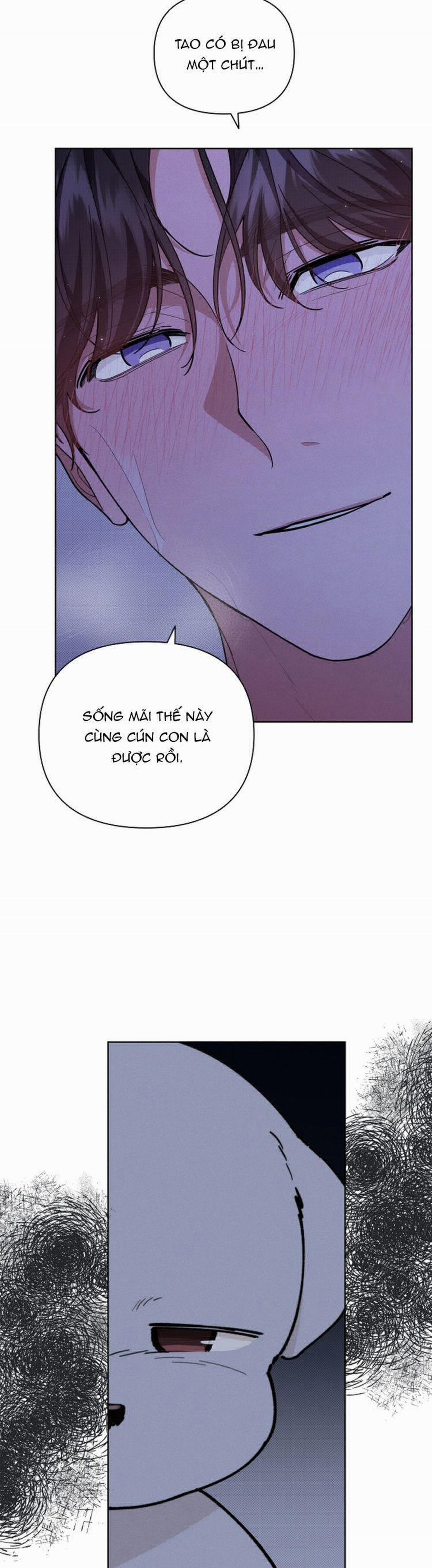 Đừng Chạm Vào Cún Con 13 trang 4