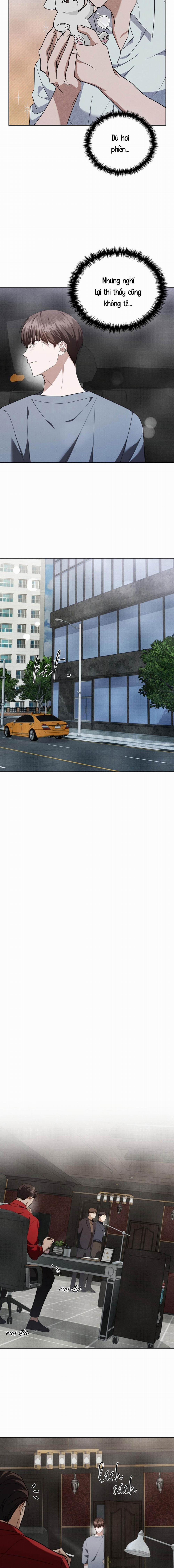 Đừng Chạm Vào Cún Con 14 trang 6