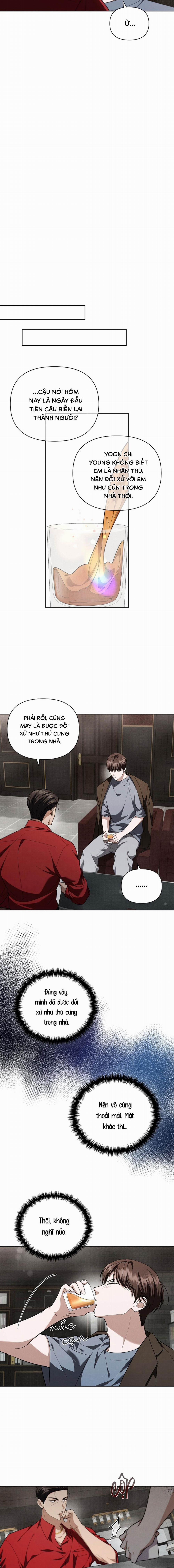 Đừng Chạm Vào Cún Con 14 trang 8