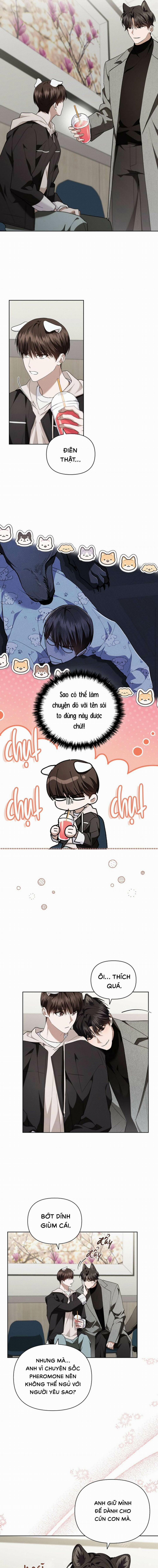 Đừng Chạm Vào Cún Con 20 trang 6