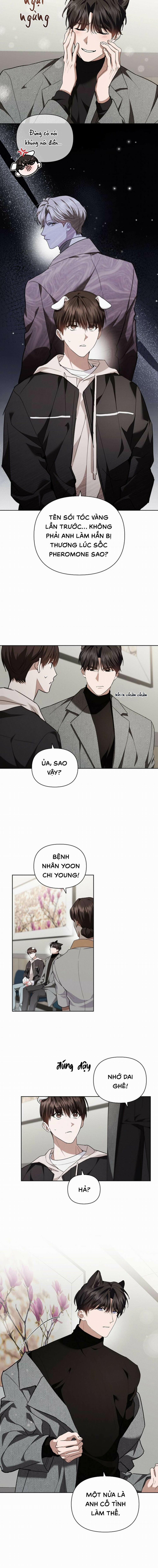 Đừng Chạm Vào Cún Con 20 trang 7