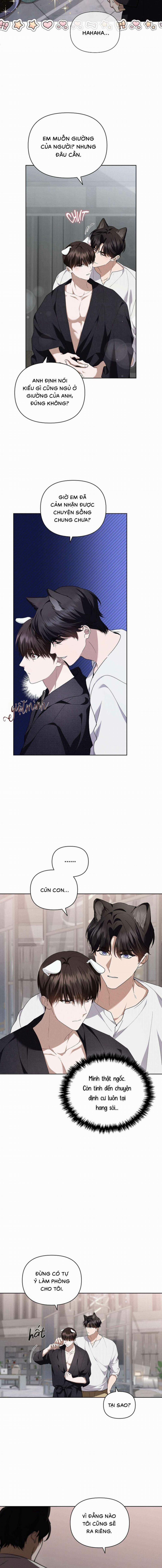 Đừng Chạm Vào Cún Con 22 trang 1