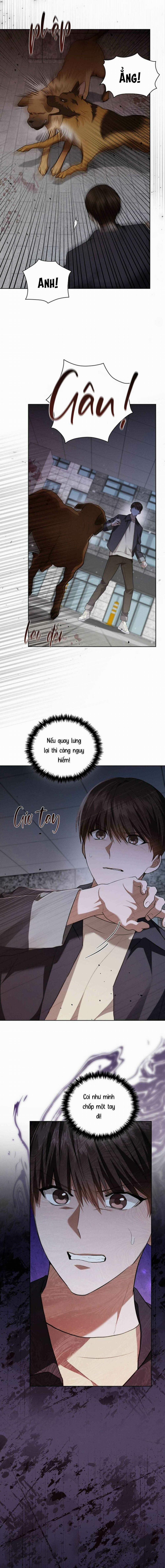 Đừng Chạm Vào Cún Con 23 trang 13