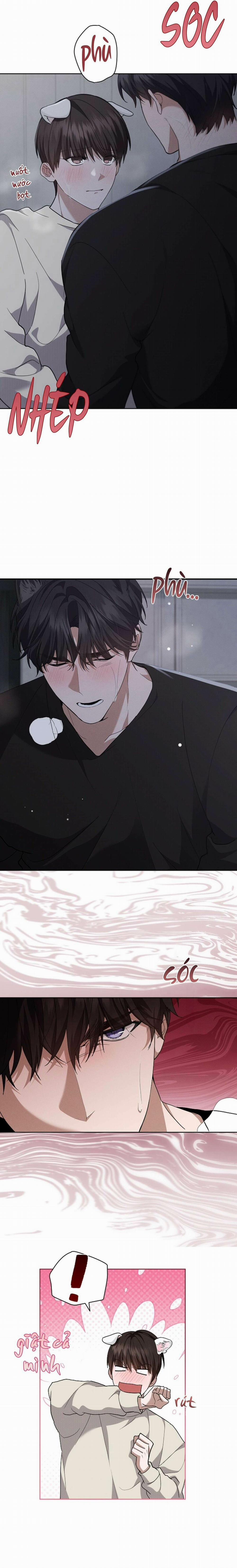 Đừng Chạm Vào Cún Con 25 trang 1