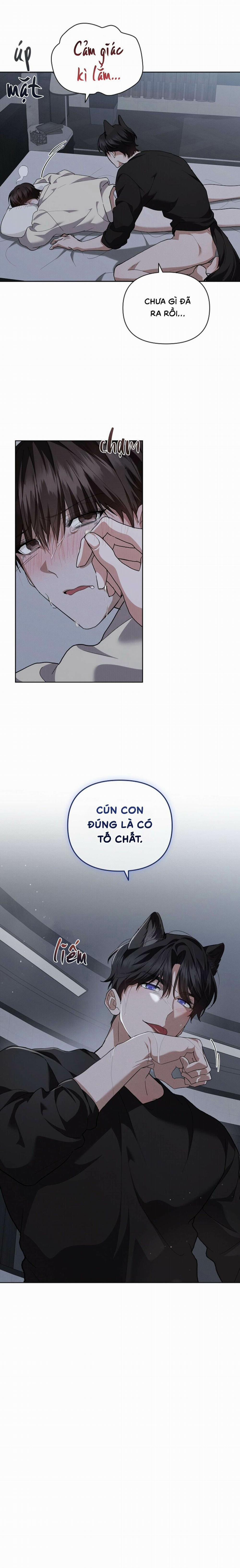 Đừng Chạm Vào Cún Con 25 trang 12